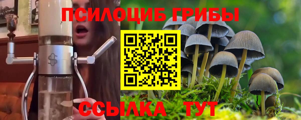 Псилоцибиновые грибы Psilocybe  наркота  Добрянка  Вход с VPN  Псилоцибиновые грибы мухоморы 