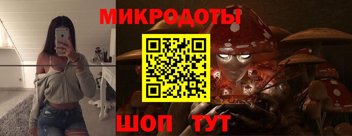 Псилоцибиновые грибы MAGIC MUSHROOMS Добрянка